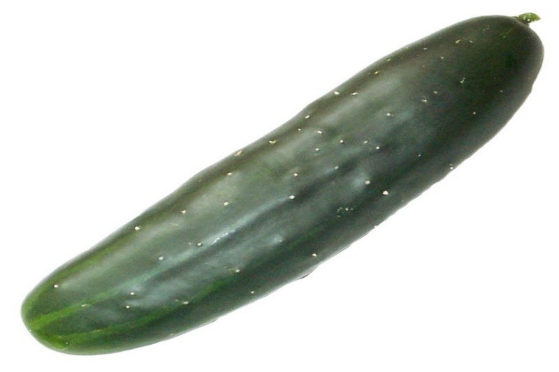 Agurk Marketmore (Cucumber)