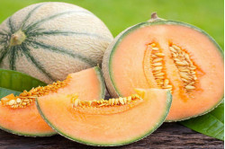 Melon Canta Charenatais (Cucumis melo Var. Cantalupensis)