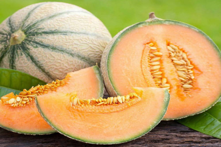 Melon Canta Charenatais (Cucumis melo Var. Cantalupensis)