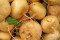 Majroe Golden Ball (Brassica rapa subsp. Rapa)