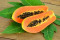 Papaya Carica (Carica papaya)