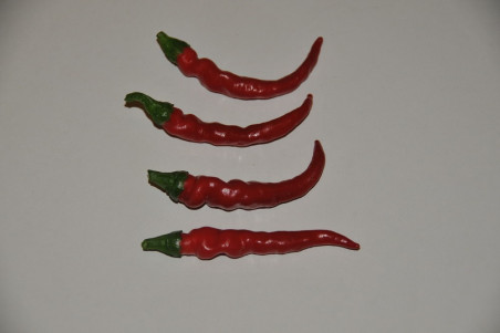 Chili Cayenne Long Slim (Capsicum annuum)