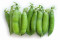 Ært Douce Provence (Pisum sativum)