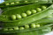 Ært Douce Provence (Pisum sativum)